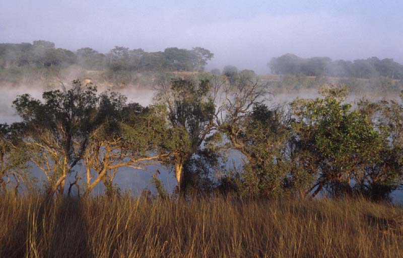 Mist over the Zambezi River